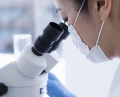 豊洲の薬剤師求人