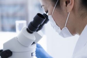 豊洲の薬剤師求人